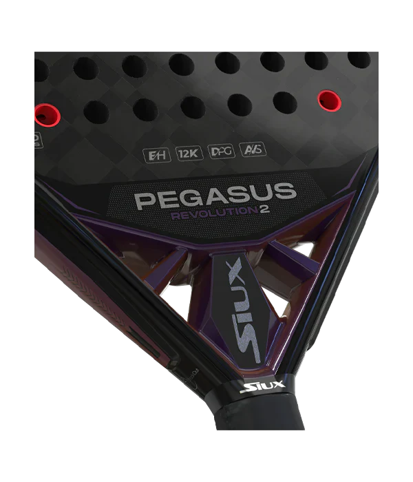 SIUX PEGASUS REVOLUTION 2 2024